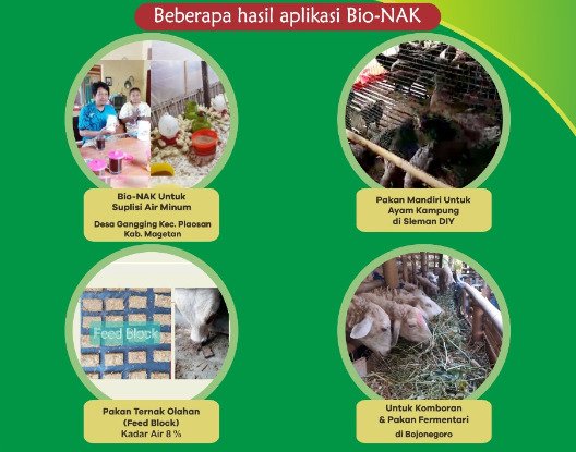 Uji dan Aplikasi BN 12 B (2)
